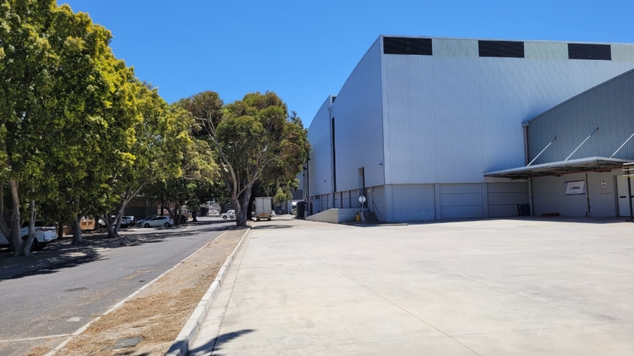 To Let commercial Property for Rent in Airport Industria Western Cape